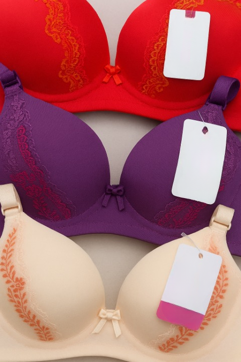 Silk Embroidered Padded Bra for Women – Luxury Undergarment with Soft Silk Fabric, Stylish Embroidery, Comfortable Fit & Everyday Support (Random Color)
