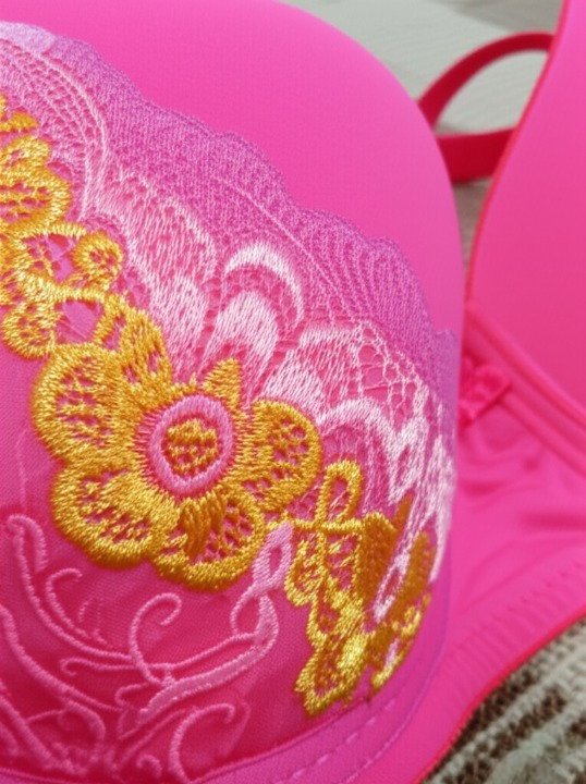 Silk Embroidered Padded Bra for Women – Luxury Undergarment with Soft Silk Fabric, Stylish Embroidery, Comfortable Fit & Everyday Support (Random Color)